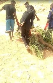 Remains of a Female ABU Postgraduate Student Found at Tamburawa River