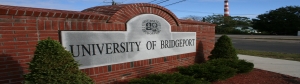 100% Undergraduate Scholarships At University Of Bridgeport, USA