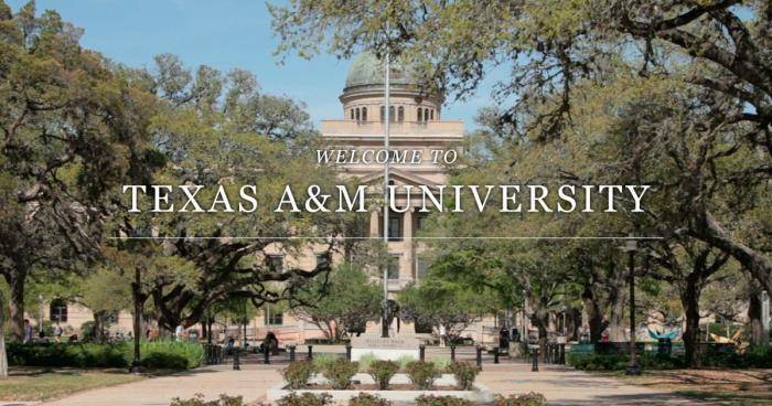 2020 International Freshman Scholarships At Texas A&M University - USA