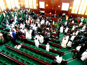 House Of Reps Throws Out Bill Seeking To Pay Unemployed Graduates Allowance