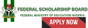2020 Federal Government BEA Undergraduate & Postgraduate Scholarships For Study Abroad