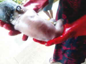 OAU Explains Controversy Over Undergraduate’s Baby, Our Student Did Not Flush Baby