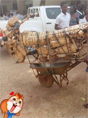 UNN Engineering Student Creates Motor Cycle From Palm Fronds And Fibre