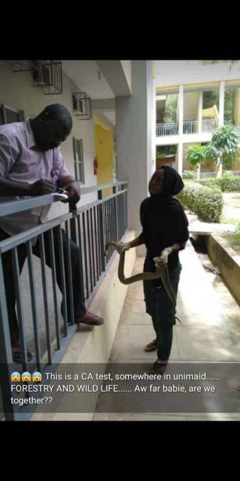 Student Holding Python In University Of Maiduguri For Her CA Test