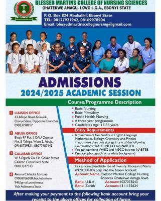 Blessed Martins College Of Nursing Sciences, Ebonyi admission form ...