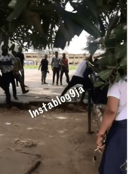 Two Uniport Students Seen Fighting Over A Girl At A Love Garden
