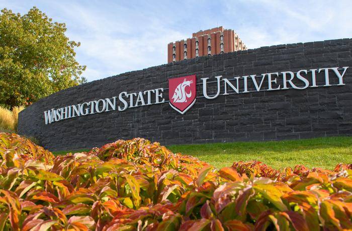 2020 Washington State University International Academic Awards - USA