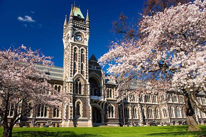 2020 Callis Trust Performance Funding At University of Otago - New Zealand