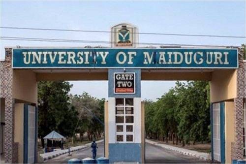 UNIMAID lecturers vow to withhold students’ results over unpaid salaries