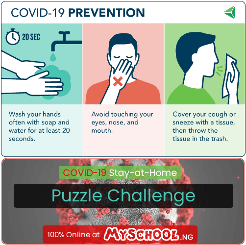 Final Day:  Covid-19 Stay-at-Home Puzzle Challenge