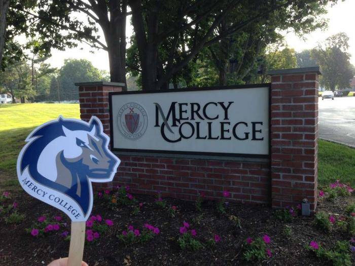 International Academic Merit Awards At Mercy College, USA - 2020