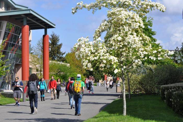 International Student Scholarships 2022 at Seattle Colleges – USA