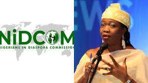 Nigerian Students are Now Beggars in the UK - NIDCOM Chairman