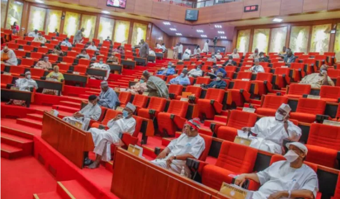 Senate passes bill to establish Nigeria Steel university, 2 others