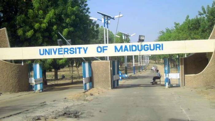 Cultural Sustainability Scholarships At University Of Maiduguri  - Nigeria 2019