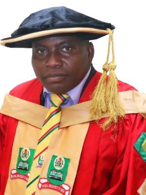 NOUN appoints Mande as Director of Business School