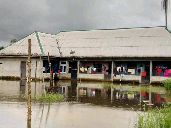 Federal University Otuoke Hostels Flooded, Python Killed (video)