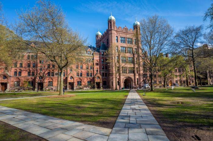 University of New Haven Presidential Scholarships – USA