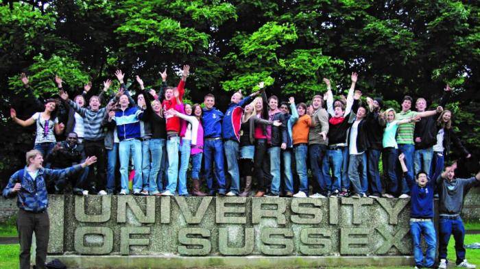 2019 University of Sussex International Excellence Funding Scholarship Program - UK