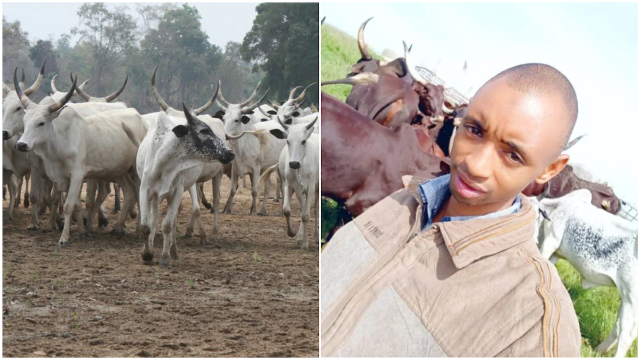 Former cattle rearer cum-lecturer shares his story