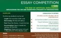 essay competition for nigerian students