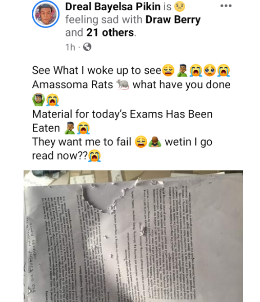 They want me to fail - NDU student cries out as rats shred his exam prep materials