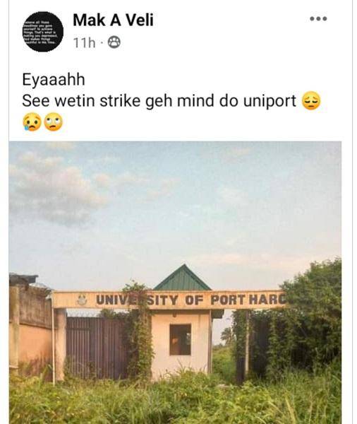 Strike: Weeds take over UNIPORT school gate (photo)