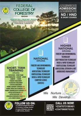Federal College of Forestry, Ibadan announces admissions for 2025/2026 session