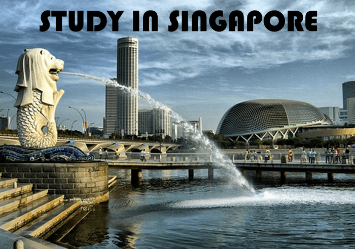 Pacific Prime Scholarships 2022 for International Students - Singapore