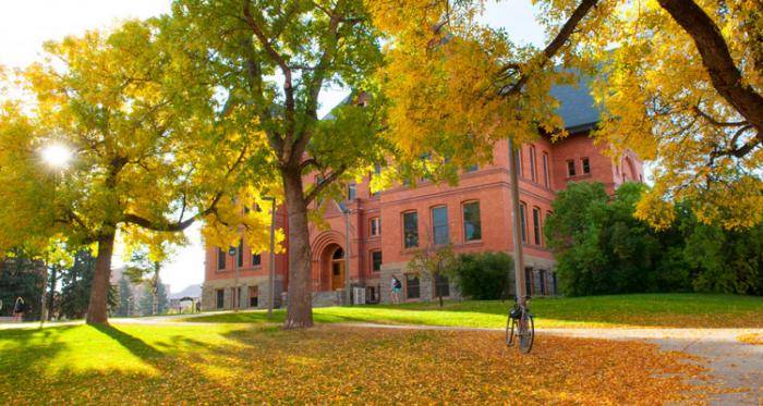 Presidential International Scholarship At Montana State University - USA 2020