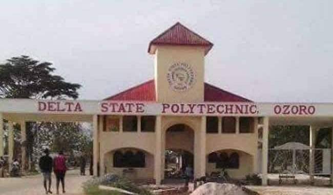 Delta Polytechnic Burns 5,000 Face Caps Seized from Students to Curb Indecent Dressing