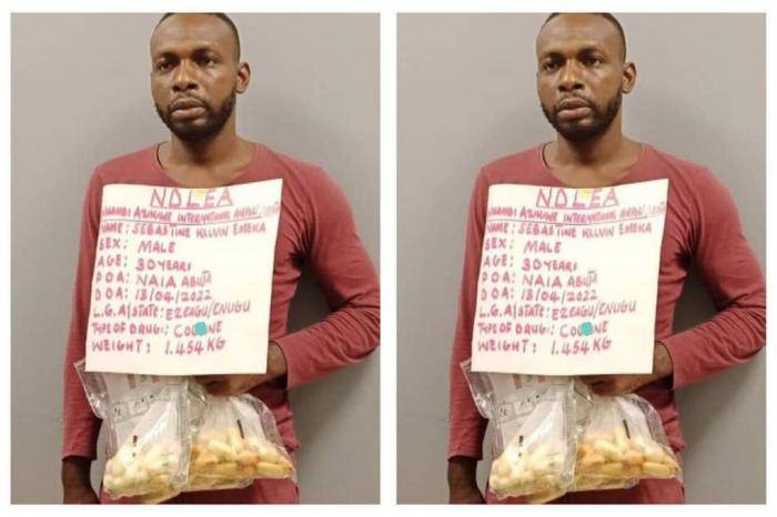 NDLEA arrests IMSU graduate with 74 pellets of drugs