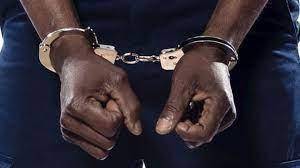 Lagos proprietor arrested for molesting a student