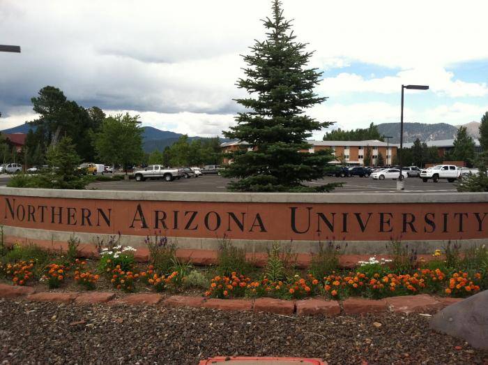 2022 Provost Academic Merit Scholarships at North American University – USA