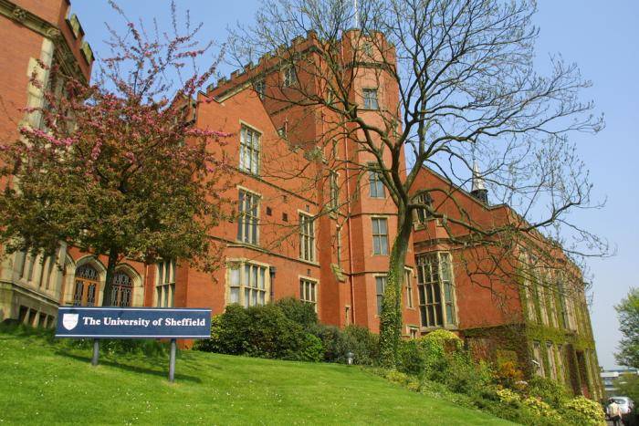 International School of Choueifat Merit Scholarship at University of Sheffield – UK, 2021