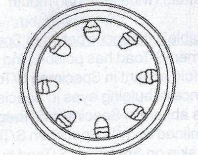 The diagram above illustrates the transverse section of a?