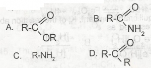 The dehydration of ammonium salt of alkanoic acids produces a compound with the general formula?