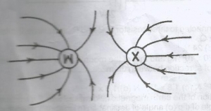 The diagram given illustrates two charged particles W and X. The charges on W and x are respectively?