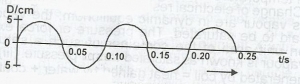 The diagram below represents displacement D, versus time, t graph of a progressive wave. Deduce the frequency of the wave