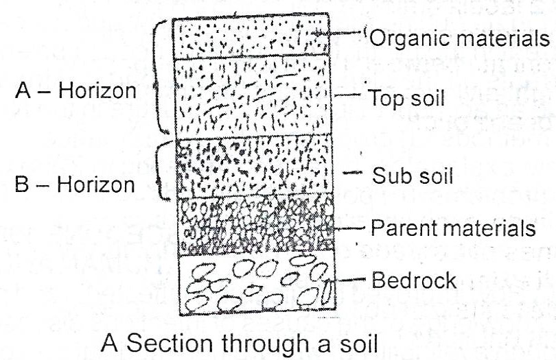 soil profile diagrams labelling