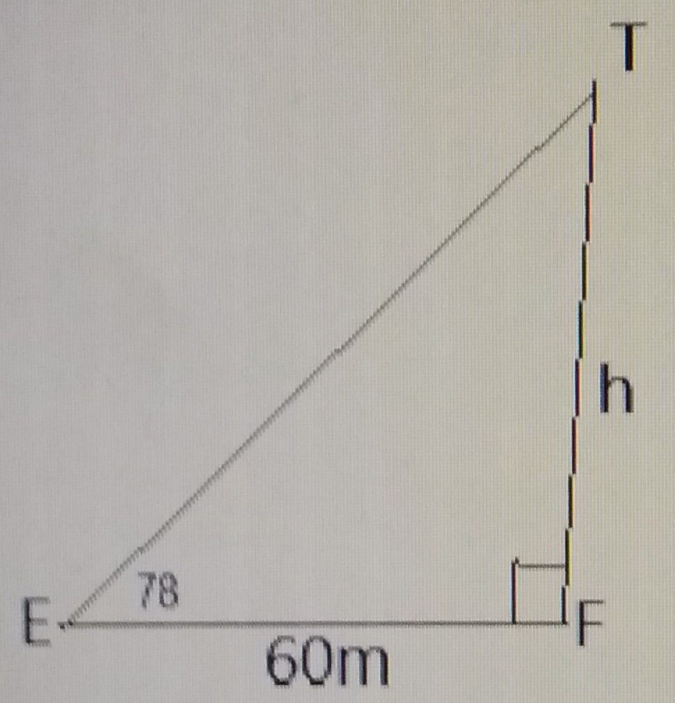 The angle of elevation of the top of a tree from a point on the ground 6cm away from the foot of the tree is 78°. Find the height of the tree correct to the nearest whole number.