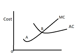 If AC and MC are represented on a graph, the MC curve will cut the AC curve?