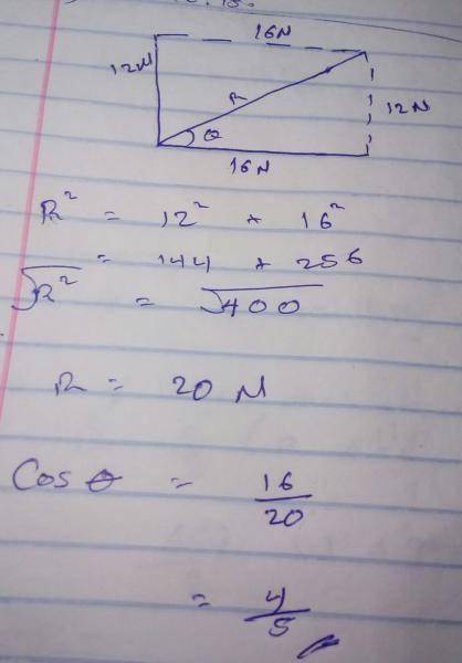 Two Forced 12n And 16n Inclined At An Angle To Each Other Have A Myschool