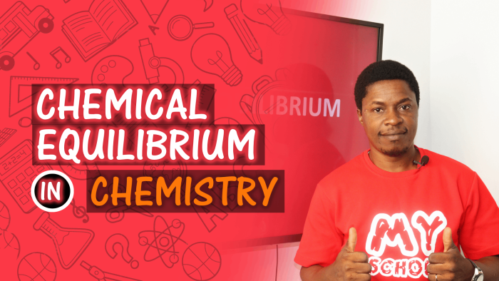 Chemical Equilibrium - As it Should Be Taught