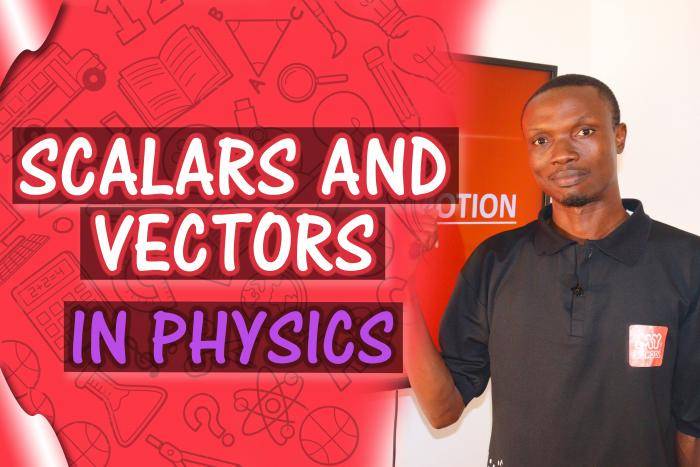 Simplifying SCALARS AND VECTORS to Your Understanding