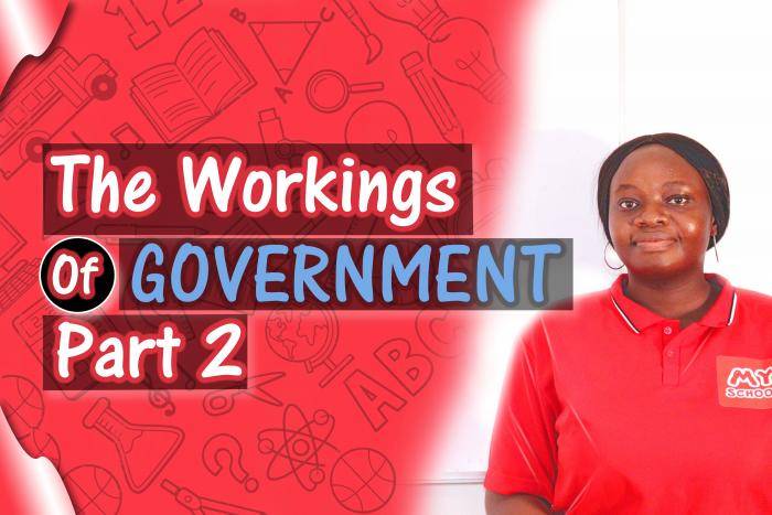 The Workings of Government 2 - Presidential and Parliamentary Systems of Government