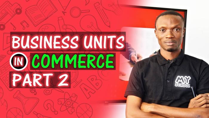 Business Units - PART 2
