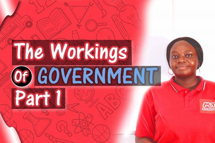 The Workings Of Government 1 - The Organs./Arms of Government