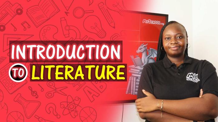 Introduction To Literature - (Definition, History & Genres)