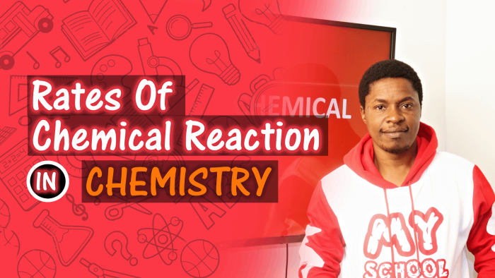 Rates Of Chemical Reaction